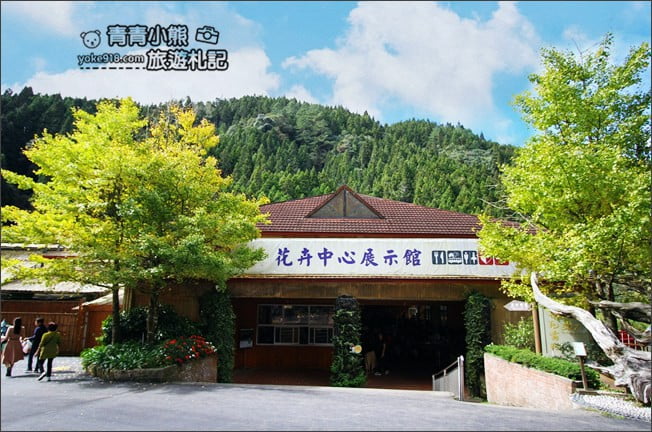 南投景點》杉林溪森林生態渡假園區．賞楓葉 黃金水杉木~季節限定必賞美景 @青青小熊＊旅遊札記