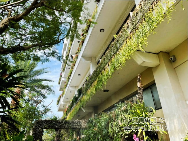 桃園景點》楊梅雅聞魅力博覽館．北部最美的玫瑰花園還有浪漫的落羽松 @青青小熊＊旅遊札記