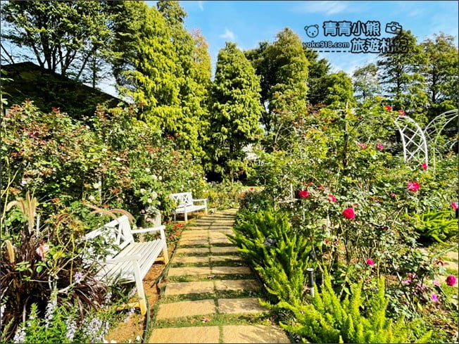 桃園景點》楊梅雅聞魅力博覽館.北部最美的玫瑰花園還有浪漫的落羽松 @青青小熊*旅遊札記 桃園景點》楊梅雅聞魅力博覽館.北部最美的玫瑰花園還有浪漫的落羽松 @青青小熊*旅遊札記