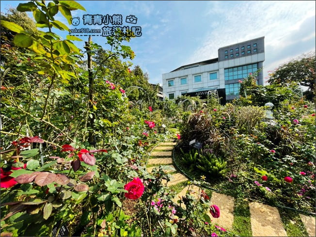 桃園景點》楊梅雅聞魅力博覽館.北部最美的玫瑰花園還有浪漫的落羽松 @青青小熊*旅遊札記 桃園景點》楊梅雅聞魅力博覽館.北部最美的玫瑰花園還有浪漫的落羽松 @青青小熊*旅遊札記