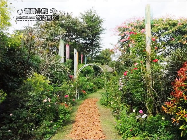 桃園景點》楊梅雅聞魅力博覽館.北部最美的玫瑰花園還有浪漫的落羽松 @青青小熊*旅遊札記 桃園景點》楊梅雅聞魅力博覽館.北部最美的玫瑰花園還有浪漫的落羽松 @青青小熊*旅遊札記