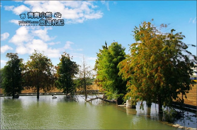 彰化新景點》田中央豚將拉麵.來到日本鳥居~還有水池落羽松,好夢幻 @青青小熊*旅遊札記 彰化新景點》田中央豚將拉麵.來到日本鳥居~還有水池落羽松,好夢幻 @青青小熊*旅遊札記