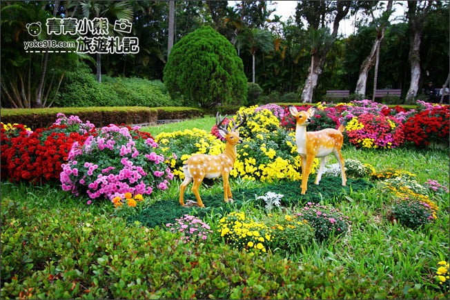 台北景點》2020士林官邸菊展．布丁狗為主題，必拍亮點推薦 @青青小熊＊旅遊札記