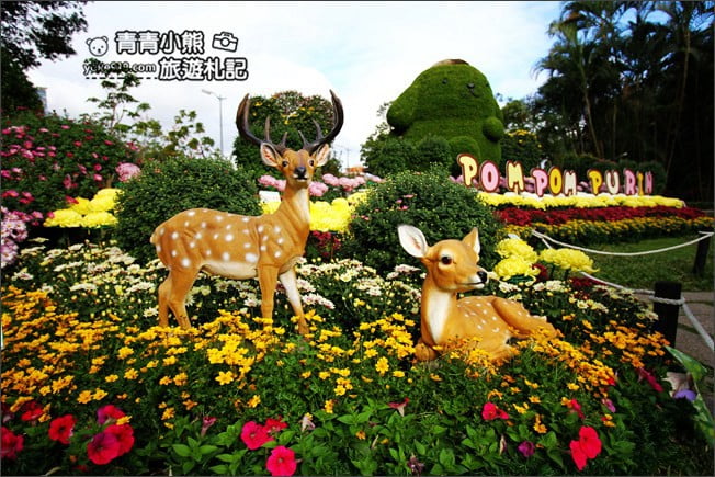 台北景點》2020士林官邸菊展．布丁狗為主題，必拍亮點推薦 @青青小熊＊旅遊札記