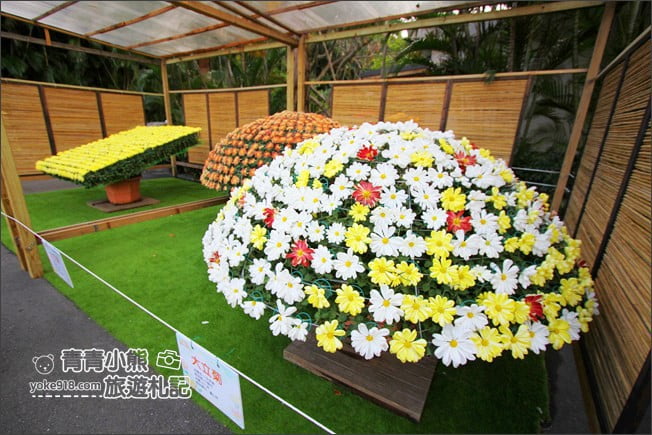 台北景點》2020士林官邸菊展．布丁狗為主題，必拍亮點推薦 @青青小熊＊旅遊札記