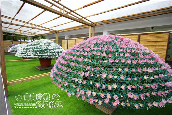 台北景點》2020士林官邸菊展．布丁狗為主題，必拍亮點推薦 @青青小熊＊旅遊札記
