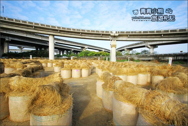 雲林》2020大埤稻草文化藝術季.稻草迷宮、可愛裝置藝術~雲林拍照新亮點 @青青小熊*旅遊札記 雲林》2020大埤稻草文化藝術季.稻草迷宮、可愛裝置藝術~雲林拍照新亮點 @青青小熊*旅遊札記