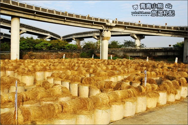 雲林》2020大埤稻草文化藝術季.稻草迷宮、可愛裝置藝術~雲林拍照新亮點 @青青小熊*旅遊札記 雲林》2020大埤稻草文化藝術季.稻草迷宮、可愛裝置藝術~雲林拍照新亮點 @青青小熊*旅遊札記