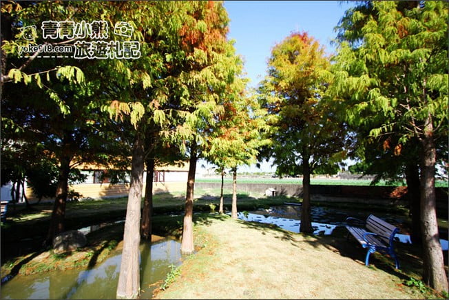 雲林景點》虎尾堀頭里28落羽松園區.落羽松已變色 @青青小熊*旅遊札記 雲林景點》虎尾堀頭里28落羽松園區.落羽松已變色 @青青小熊*旅遊札記