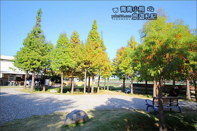 雲林景點》虎尾堀頭里28落羽松園區.落羽松已變色 @青青小熊*旅遊札記 雲林景點》虎尾堀頭里28落羽松園區.落羽松已變色 @青青小熊*旅遊札記
