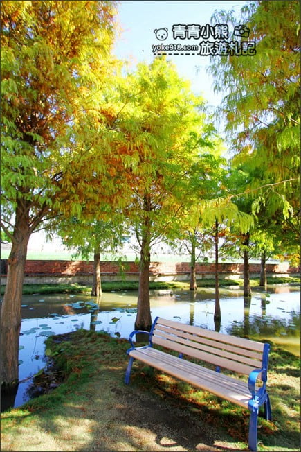 雲林景點》虎尾堀頭里28落羽松園區.落羽松已變色 @青青小熊*旅遊札記 雲林景點》虎尾堀頭里28落羽松園區.落羽松已變色 @青青小熊*旅遊札記