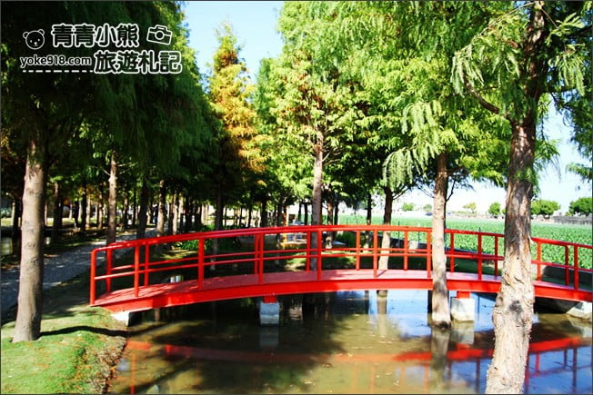 雲林景點》虎尾堀頭里28落羽松園區.落羽松已變色 @青青小熊*旅遊札記 雲林景點》虎尾堀頭里28落羽松園區.落羽松已變色 @青青小熊*旅遊札記