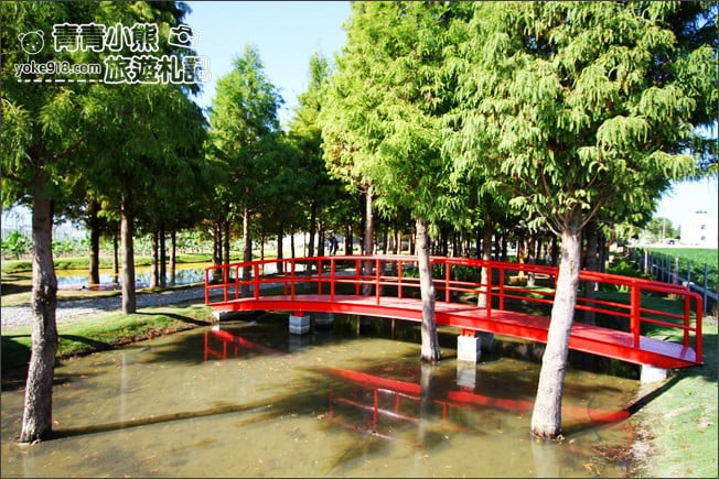 雲林景點》虎尾堀頭里28落羽松園區．落羽松已變色 @青青小熊＊旅遊札記