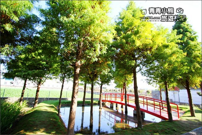 雲林景點》虎尾堀頭里28落羽松園區.落羽松已變色 @青青小熊*旅遊札記 雲林景點》虎尾堀頭里28落羽松園區.落羽松已變色 @青青小熊*旅遊札記