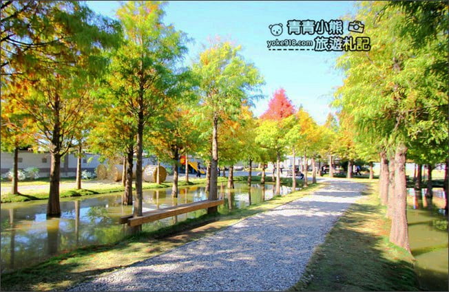 雲林景點》虎尾堀頭里28落羽松園區.落羽松已變色 @青青小熊*旅遊札記 雲林景點》虎尾堀頭里28落羽松園區.落羽松已變色 @青青小熊*旅遊札記