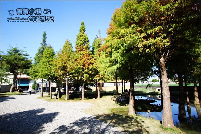 雲林景點》虎尾堀頭里28落羽松園區.落羽松已變色 @青青小熊*旅遊札記 雲林景點》虎尾堀頭里28落羽松園區.落羽松已變色 @青青小熊*旅遊札記