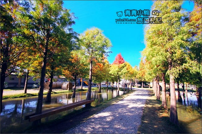雲林景點》虎尾堀頭里28落羽松園區.落羽松已變色 @青青小熊*旅遊札記 雲林景點》虎尾堀頭里28落羽松園區.落羽松已變色 @青青小熊*旅遊札記