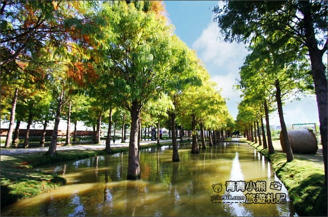 雲林景點》虎尾堀頭里28落羽松園區.落羽松已變色 @青青小熊*旅遊札記 雲林景點》虎尾堀頭里28落羽松園區.落羽松已變色 @青青小熊*旅遊札記