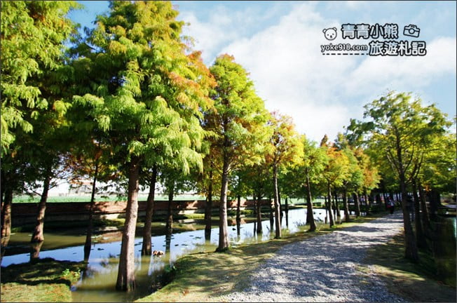 雲林景點》虎尾堀頭里28落羽松園區.落羽松已變色 @青青小熊*旅遊札記 雲林景點》虎尾堀頭里28落羽松園區.落羽松已變色 @青青小熊*旅遊札記