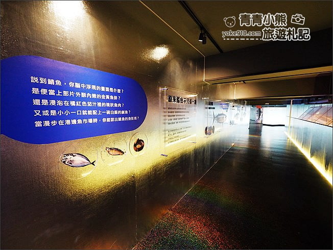 宜蘭蘇澳新景點》大鯖魚夢工廠.超夢幻的觀光工廠~互動拍照,充滿科幻感 @青青小熊*旅遊札記 宜蘭蘇澳新景點》大鯖魚夢工廠.超夢幻的觀光工廠~互動拍照,充滿科幻感 @青青小熊*旅遊札記
