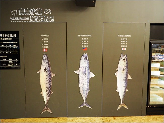 宜蘭蘇澳新景點》大鯖魚夢工廠.超夢幻的觀光工廠~互動拍照,充滿科幻感 @青青小熊*旅遊札記 宜蘭蘇澳新景點》大鯖魚夢工廠.超夢幻的觀光工廠~互動拍照,充滿科幻感 @青青小熊*旅遊札記