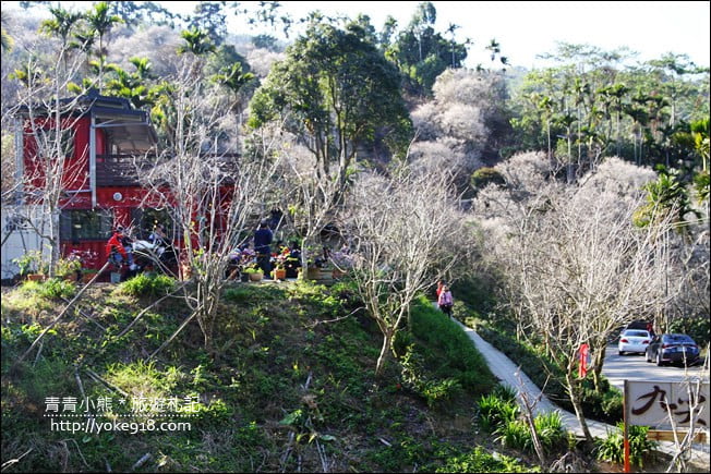南投景點》九尖茶廠.九份二山賞梅景點~國姓賞梅花,這裡也超美 @青青小熊*旅遊札記 南投景點》九尖茶廠.九份二山賞梅景點~國姓賞梅花,這裡也超美 @青青小熊*旅遊札記