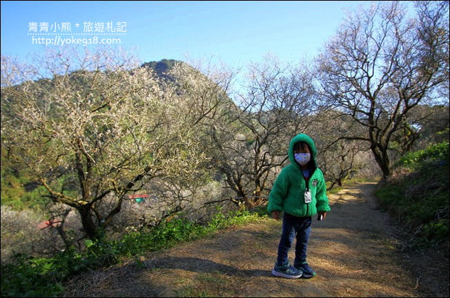 南投景點》九尖茶廠.九份二山賞梅景點~國姓賞梅花,這裡也超美 @青青小熊*旅遊札記 南投景點》九尖茶廠.九份二山賞梅景點~國姓賞梅花,這裡也超美 @青青小熊*旅遊札記