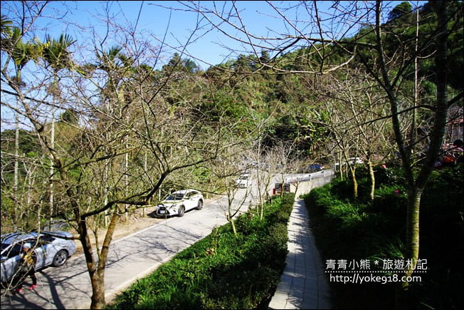 南投景點》九尖茶廠.九份二山賞梅景點~國姓賞梅花,這裡也超美 @青青小熊*旅遊札記 南投景點》九尖茶廠.九份二山賞梅景點~國姓賞梅花,這裡也超美 @青青小熊*旅遊札記