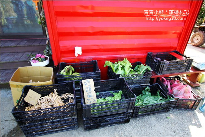 南投景點》九尖茶廠．九份二山賞梅景點~國姓賞梅花，這裡也超美 @青青小熊＊旅遊札記