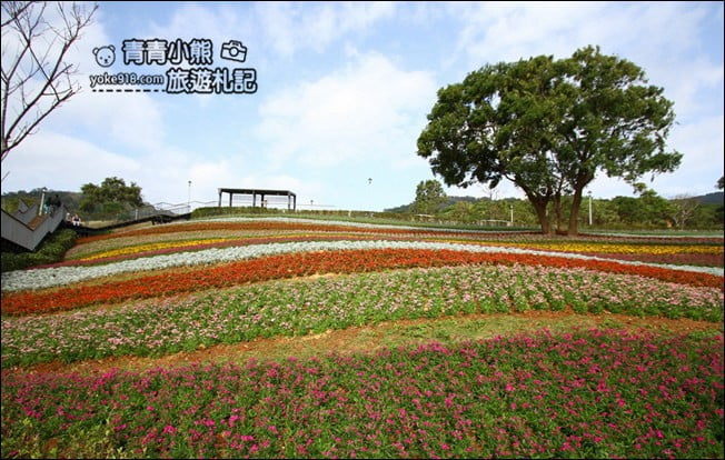 台北景點》北投三層崎公園.台北美麗的彩虹花田登場 @青青小熊*旅遊札記 台北景點》北投三層崎公園.台北美麗的彩虹花田登場 @青青小熊*旅遊札記
