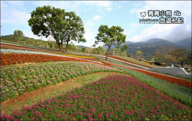 台北景點》北投三層崎公園.台北美麗的彩虹花田登場 @青青小熊*旅遊札記 台北景點》北投三層崎公園.台北美麗的彩虹花田登場 @青青小熊*旅遊札記