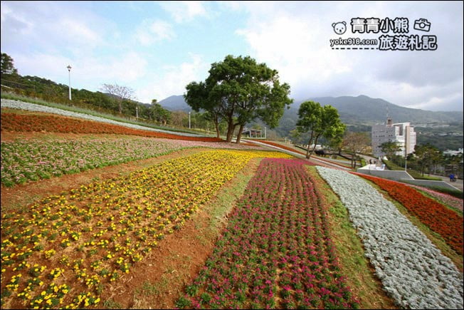 台北景點》北投三層崎公園.台北美麗的彩虹花田登場 @青青小熊*旅遊札記 台北景點》北投三層崎公園.台北美麗的彩虹花田登場 @青青小熊*旅遊札記