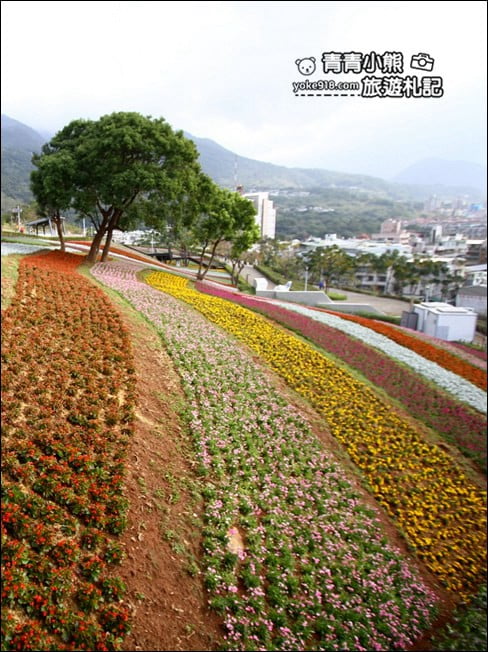 台北景點》北投三層崎公園．台北美麗的彩虹花田登場 @青青小熊＊旅遊札記
