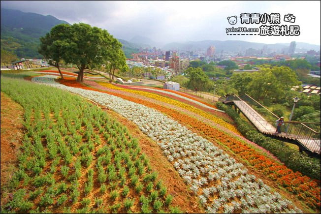 台北景點》北投三層崎公園.台北美麗的彩虹花田登場 @青青小熊*旅遊札記 台北景點》北投三層崎公園.台北美麗的彩虹花田登場 @青青小熊*旅遊札記