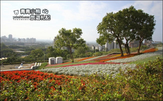 台北景點》北投三層崎公園.台北美麗的彩虹花田登場 @青青小熊*旅遊札記 台北景點》北投三層崎公園.台北美麗的彩虹花田登場 @青青小熊*旅遊札記