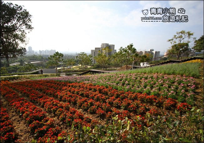 台北景點》北投三層崎公園．台北美麗的彩虹花田登場 @青青小熊＊旅遊札記