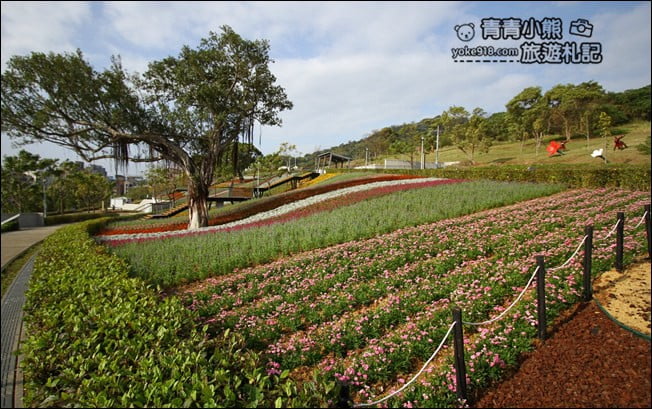 台北景點》北投三層崎公園.台北美麗的彩虹花田登場 @青青小熊*旅遊札記 台北景點》北投三層崎公園.台北美麗的彩虹花田登場 @青青小熊*旅遊札記