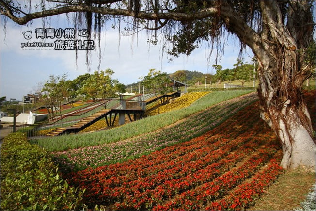 台北景點》北投三層崎公園.台北美麗的彩虹花田登場 @青青小熊*旅遊札記 台北景點》北投三層崎公園.台北美麗的彩虹花田登場 @青青小熊*旅遊札記