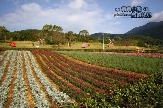 台北景點》北投三層崎公園.台北美麗的彩虹花田登場 @青青小熊*旅遊札記 台北景點》北投三層崎公園.台北美麗的彩虹花田登場 @青青小熊*旅遊札記