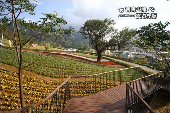 台北景點》北投三層崎公園.台北美麗的彩虹花田登場 @青青小熊*旅遊札記 台北景點》北投三層崎公園.台北美麗的彩虹花田登場 @青青小熊*旅遊札記