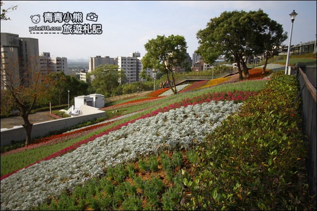 台北景點》北投三層崎公園.台北美麗的彩虹花田登場 @青青小熊*旅遊札記 台北景點》北投三層崎公園.台北美麗的彩虹花田登場 @青青小熊*旅遊札記