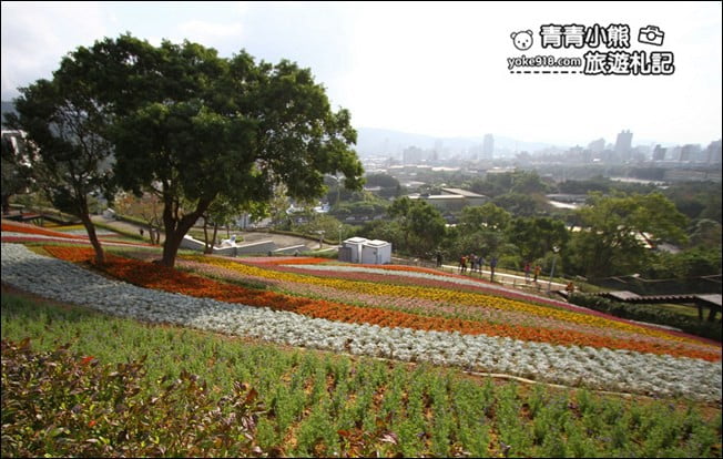 台北景點》北投三層崎公園.台北美麗的彩虹花田登場 @青青小熊*旅遊札記 台北景點》北投三層崎公園.台北美麗的彩虹花田登場 @青青小熊*旅遊札記