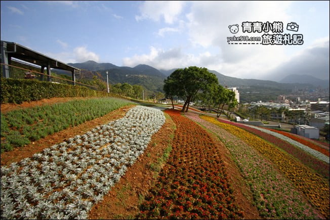 台北景點》北投三層崎公園．台北美麗的彩虹花田登場 @青青小熊＊旅遊札記