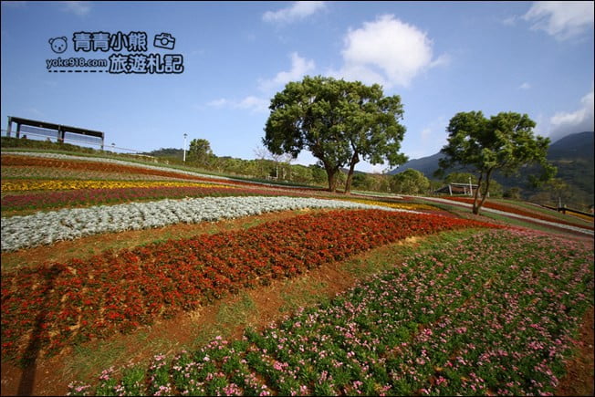 台北景點》北投三層崎公園.台北美麗的彩虹花田登場 @青青小熊*旅遊札記 台北景點》北投三層崎公園.台北美麗的彩虹花田登場 @青青小熊*旅遊札記