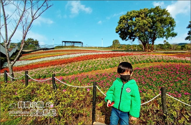 台北景點》北投三層崎公園.台北美麗的彩虹花田登場 @青青小熊*旅遊札記 台北景點》北投三層崎公園.台北美麗的彩虹花田登場 @青青小熊*旅遊札記