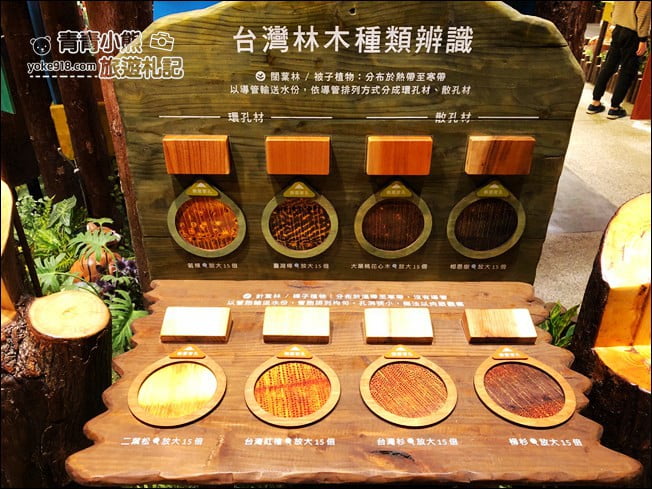 宜蘭親子景點》木育森林．就像一個免費的小樂園~木作小物好可愛 @青青小熊＊旅遊札記