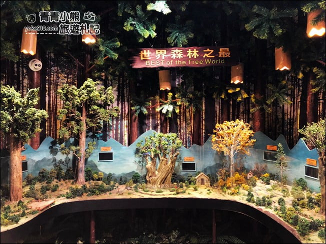 宜蘭親子景點》木育森林．就像一個免費的小樂園~木作小物好可愛 @青青小熊＊旅遊札記