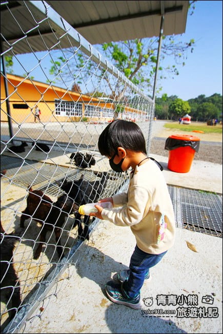 雲林景點》古坑鹿營親子農場.戶外遊戲區.滑草.可愛動物~親子同遊去 @青青小熊*旅遊札記 雲林景點》古坑鹿營親子農場.戶外遊戲區.滑草.可愛動物~親子同遊去 @青青小熊*旅遊札記