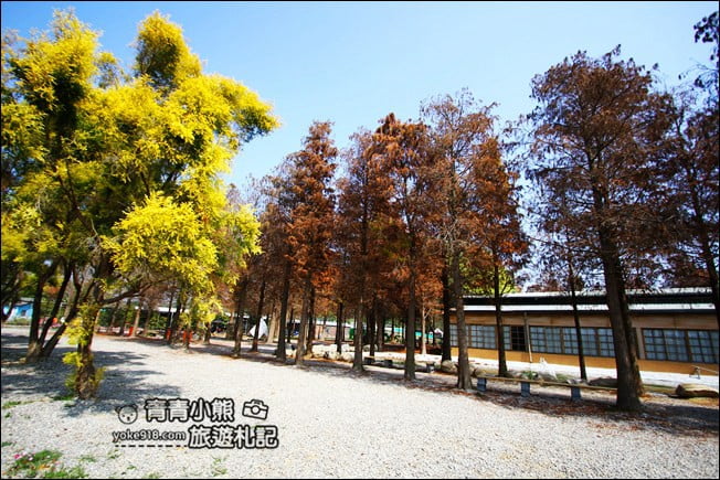 雲林景點》古坑鹿營親子農場.戶外遊戲區.滑草.可愛動物~親子同遊去 @青青小熊*旅遊札記 雲林景點》古坑鹿營親子農場.戶外遊戲區.滑草.可愛動物~親子同遊去 @青青小熊*旅遊札記