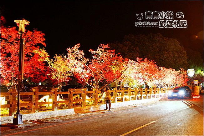 台中景點》泰安櫻花夜櫻．最美夜櫻免費看~愈夜愈美麗的泰安櫻花 @青青小熊＊旅遊札記